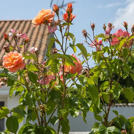 La Casa De Babou Βίλα Le Château-dʼOléron