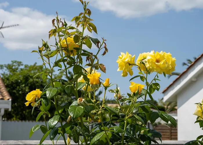 La Casa De Babou Villa *