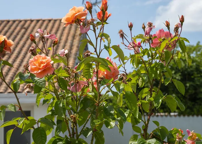 La Casa De Babou Villa Le Château-dʼOléron
